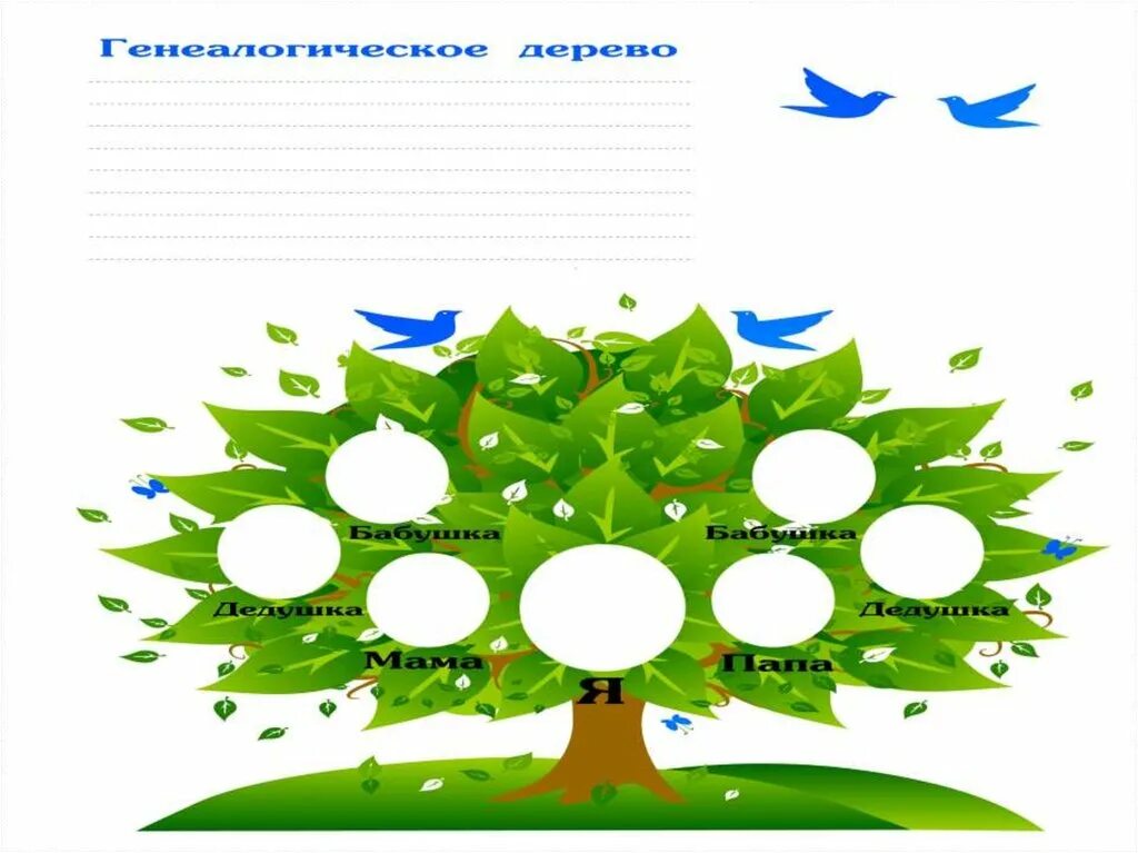 РАЗВИТИЕ РЕБЕНКА: Строение Дерева. Листья Деревьев. Природоведение, Листья, Раст