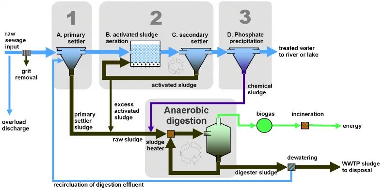 Активный ил. Отработанный активный ил. Sludge Digester. Обезвоженный активный ил. Очистка вод илом