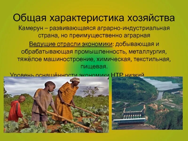 Особенности страны камерун. Камерун сельское хозяйство. Общая характеристика хозяйства. Аграрно-Индустриальная Страна это. Камерун презентация по географии.