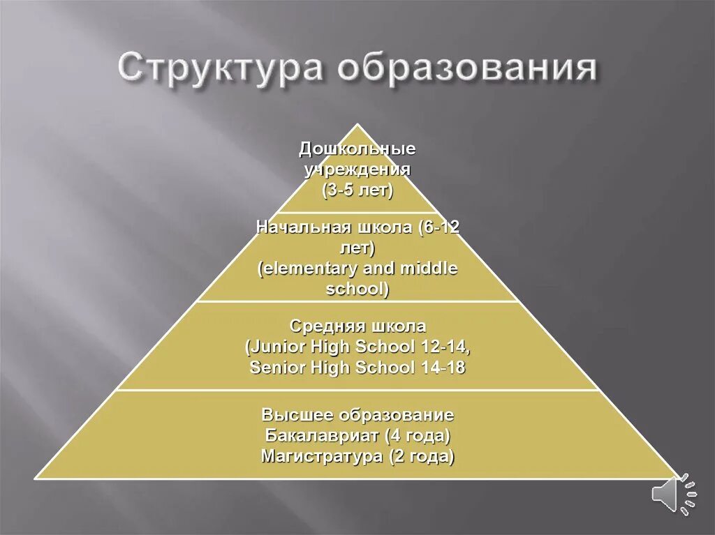 Три уровня образования в школе. Система образования в США схема. Ступени образования в школах США. Иерархия системы образования в США. Структура образования в Америке.