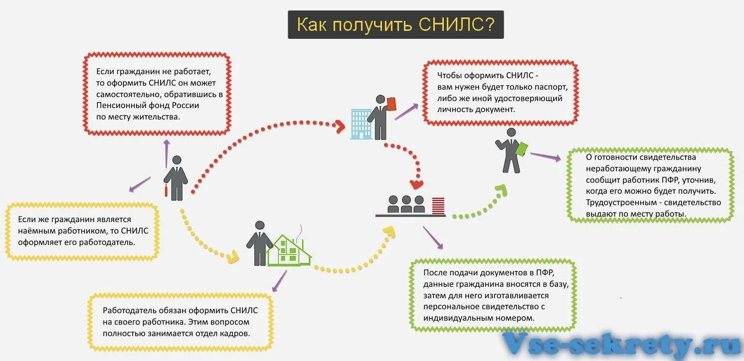 Какой нужен документ на получения снилса. Как получить снилс. порядок получения снилс. как получить снилс в пенсионном фонде. пфр-как получит.