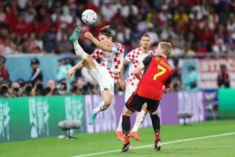 Чемпионат бельгии по футболу 2024