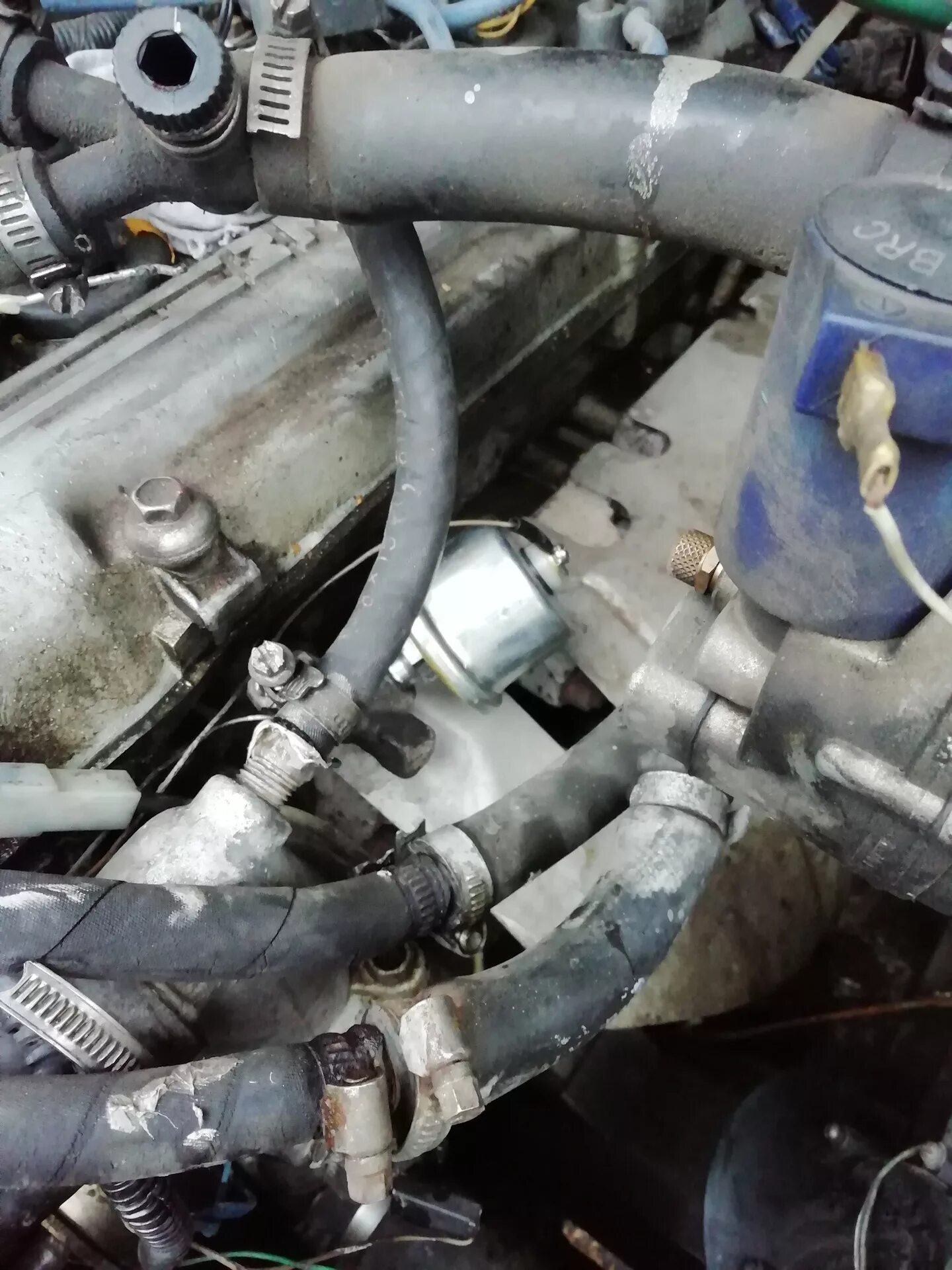 Давление газель 405 двигатель. Датчик давления змз 405. датчик давления масла змз 405 евро 3. датчик давления масла 405 евро 3. датчик масла змз 405.