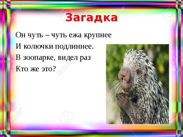 В сравнении с ежом крупнее мельче. Загадки чуть чуть сложные. Загадки чуть чуть посложнее. Загадки чуть чуть сложные с ответами. Еж крупными буквами.