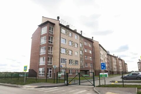 Шоколад барнаул