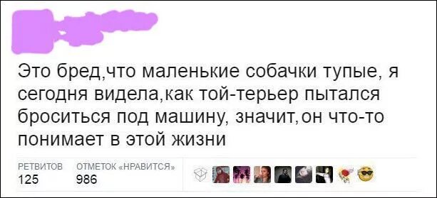 Сегодня глупая. Глупые комментарии. Самый глупый комментарий. Тупые комментарии.