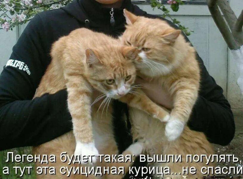 А давайте не договоримся