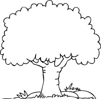 Free Printable Tree Coloring Pages For Kids, Cool2bKids