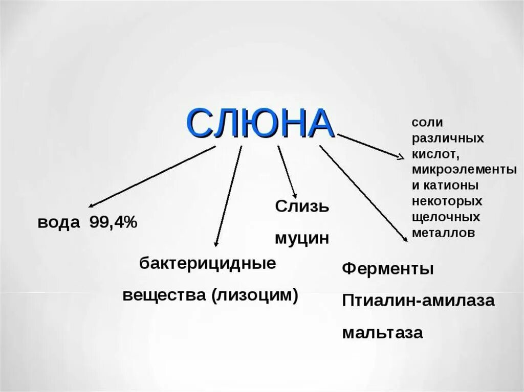 Состав сока слюны. Состав слюны схема. Слюна схемабиологич 8 кл. Состав слюны ферменты 8 класс. Строение слюны.