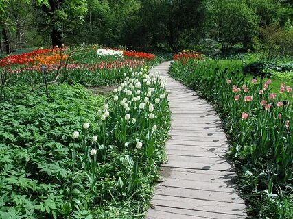 Ботанический сад в марте