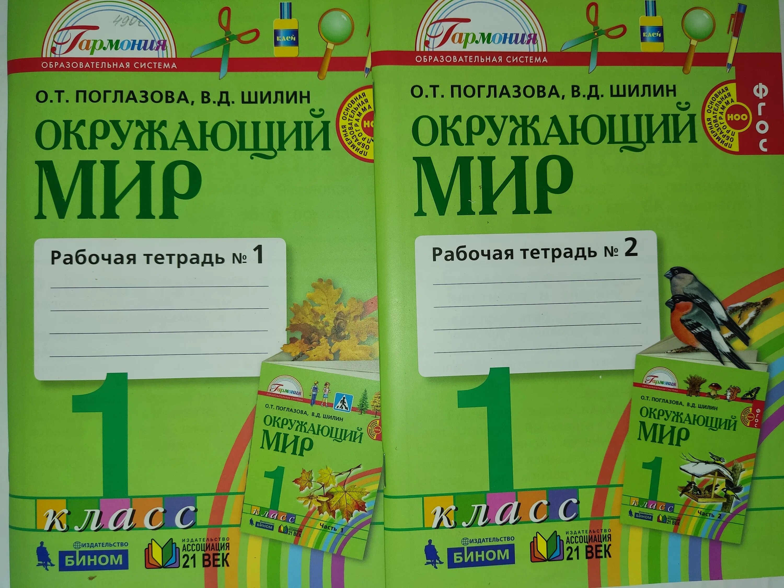 Поглазова окр мир. Окружающий мир. 2 Класс, Поглазова о.т., Шилин в.д.. Окружающий мир авторы о.т Поглазова в.д Шилин. Рабочая тетрадь окружающий мир 1 класс о.т.Поглазова. Окружающий мир 2 класс Поглазова рабочая тетрадь ответы.