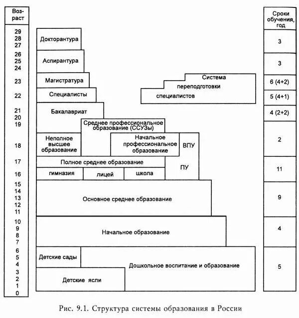 Структура системы образования в России схема. Структура российского образования схема. Система образования в РФ схема. Система образования в России таблица. Территориальные системы высшего образования