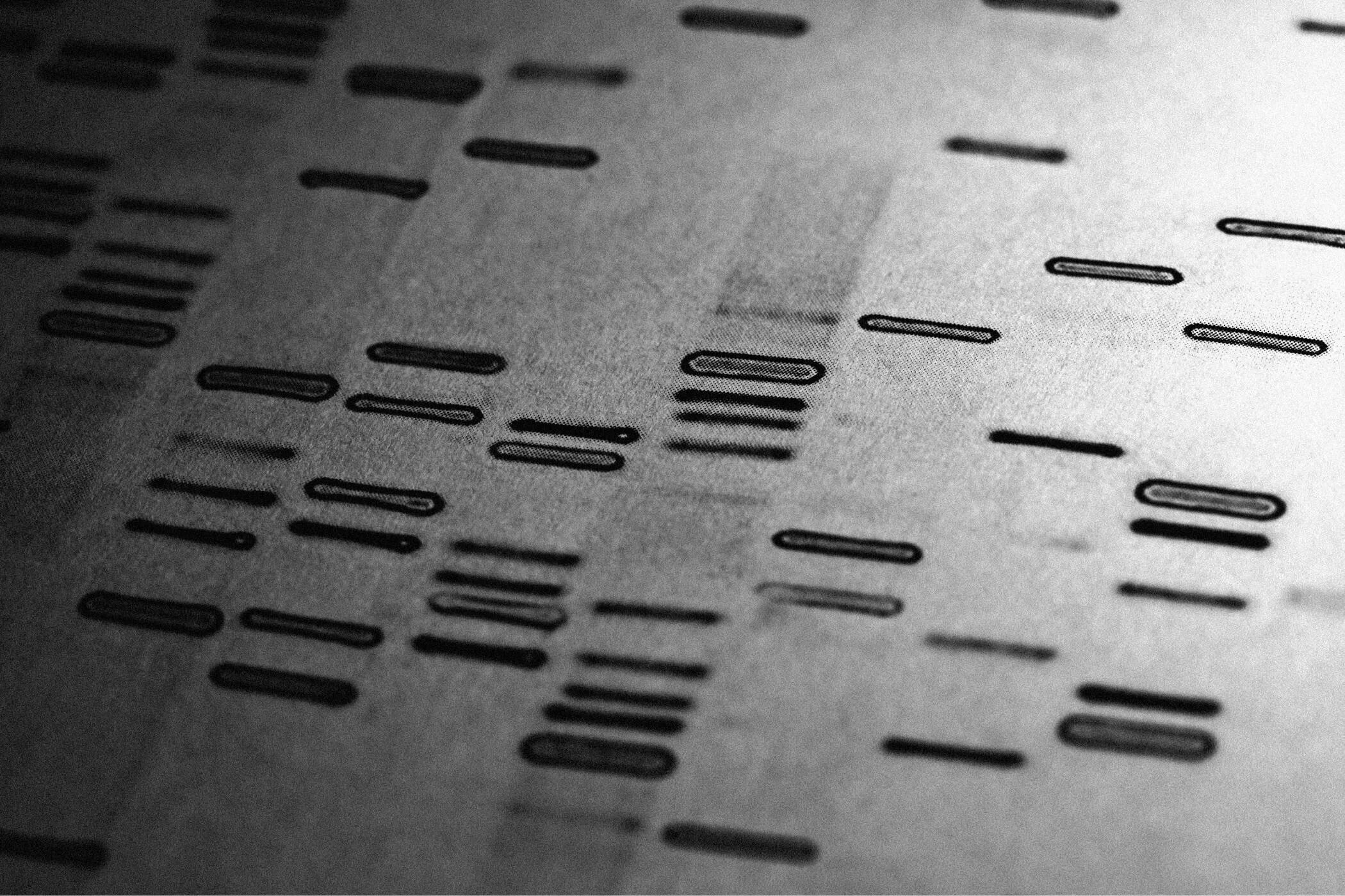 Fingerprinting javascript