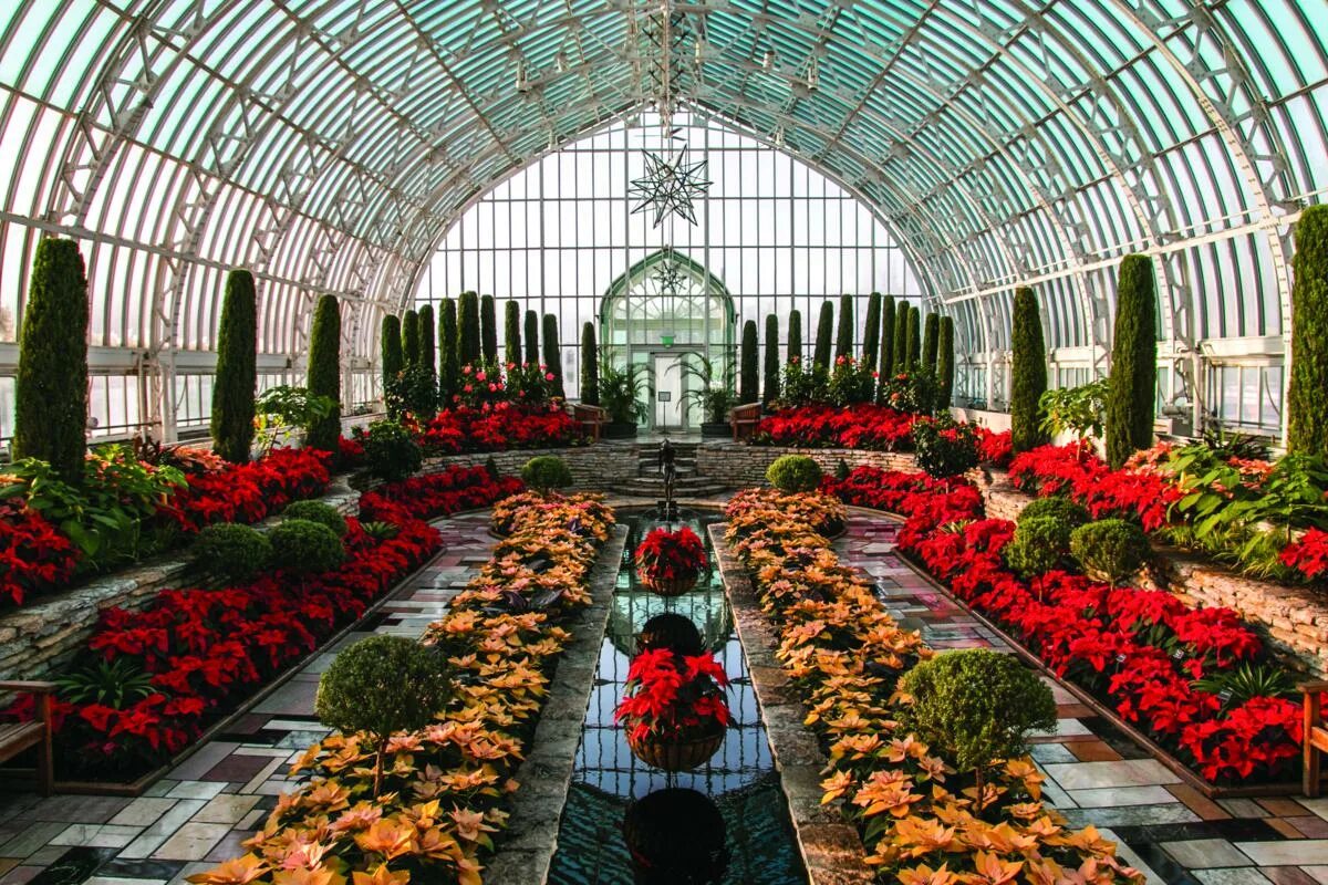 М. Презентация на тему ботанические сады. Гаршин attalea princeps 5 класс. В одном большом городе был ботанический. В одном большом городе был ботанический.