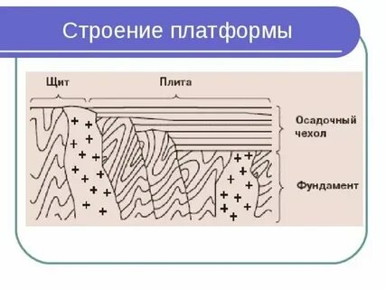 Что такое щит в географии 8 класс