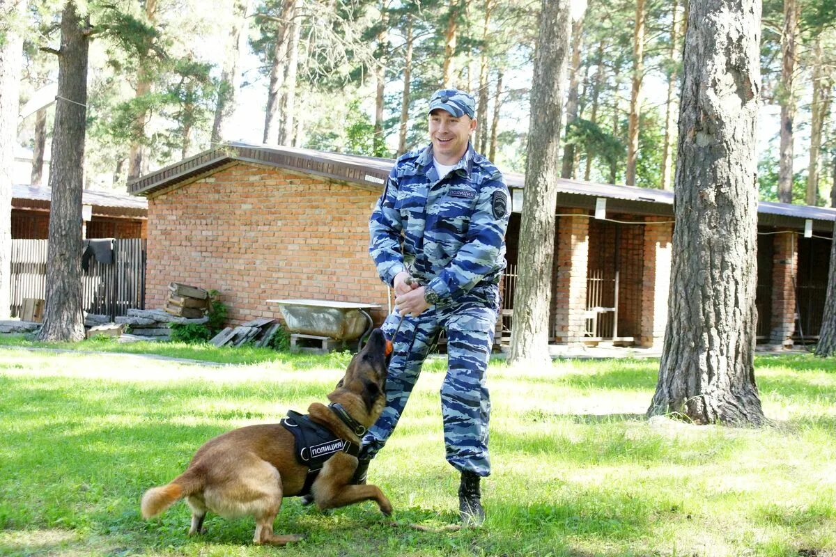 Выбрать кинолога. Выбрать кинолога