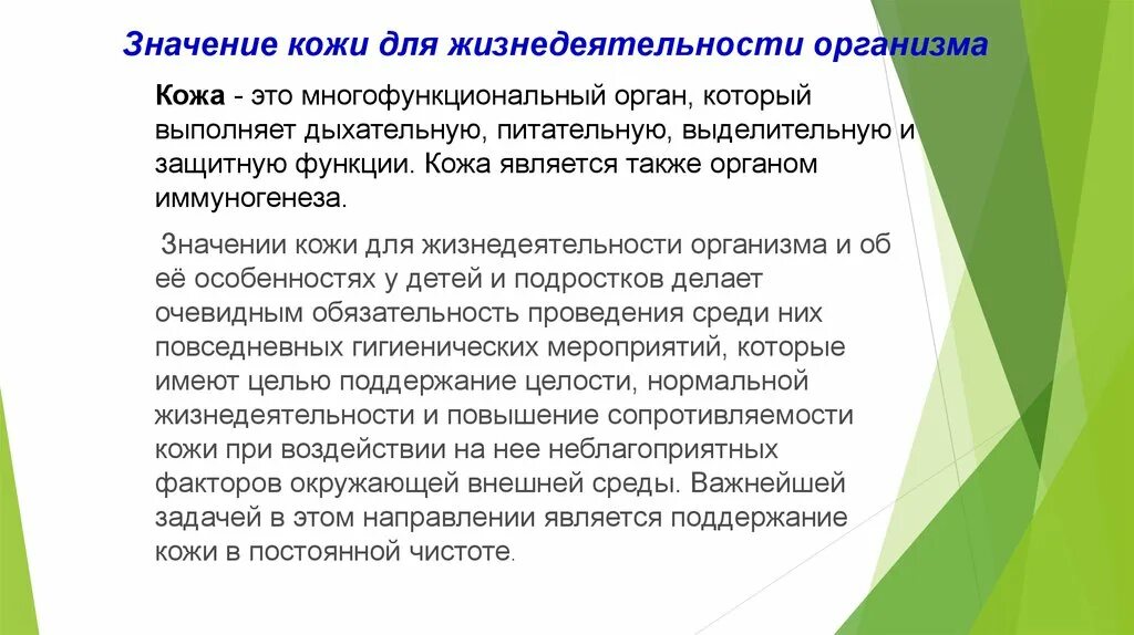 Значимость доклада. Доклад на тему значение кожи для организма. Рассказ на тему значение кожи для организма. Значение кожи для организма 4 класс. Доклад на тему значение кожи.