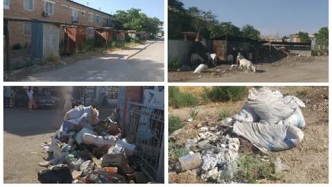 Желідегі порно видео ол жас