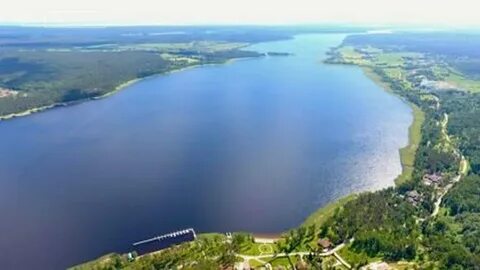 Прогноз петровское ленинградская область