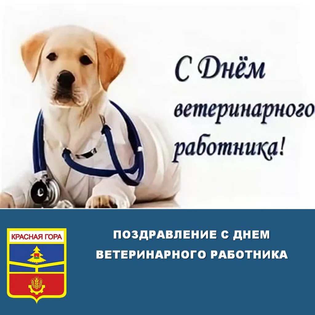 С днем ветеринарного работника. Ветеринарный работник. День работников ветеринарной службы. Поздравление с днем ветеринара. Международный день ветеринарного врача