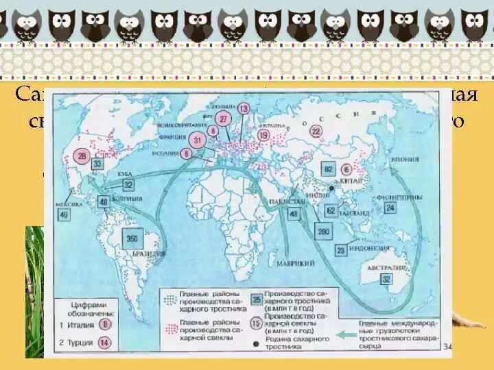 Сахарный тростник районы выращивания. Районы возделывания сахарного тростника. Главные районы возделывания сахарного тростника. Районы выращивания сахарного тростника. Сахарный тростник на карте.