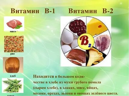 Мясо витамины содержит