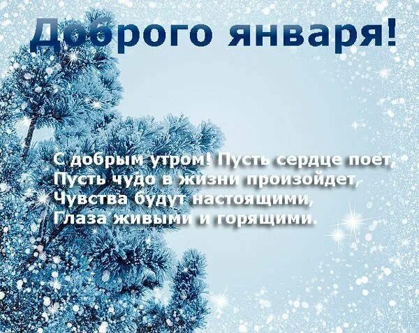 доброе зимнее утро. удачного зимнего дня и хорошего настроения. хорошего дня января. с добрым зимним утром вторника. хорошего дня января.