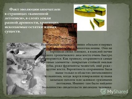 Каменная летопись