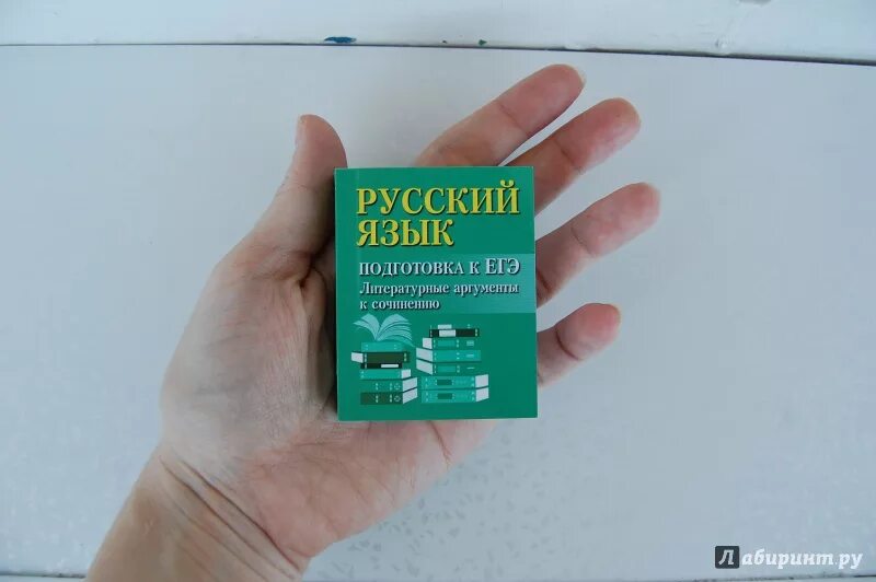 Аргументы книжка. Книга аргументов. Книжка с аргументами к сочинению. Справочник по русскому языку с аргументами. Книга аргументов егэ