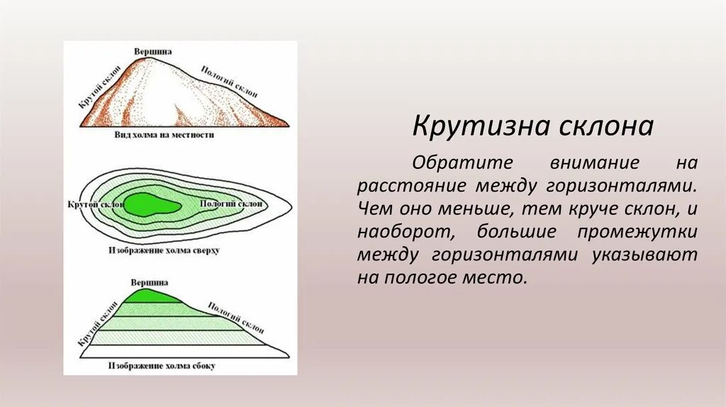 Определите какая форма рельефа изображена. Форма рельефа холм. пологий рельеф. рельеф местности гора. определите формы рельефа..
