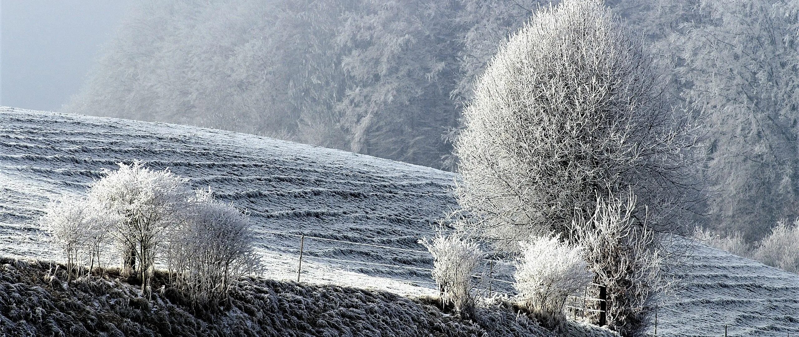 Ice rain. Зима Мороз. Иней. Зима метель. Природные явления зимой.