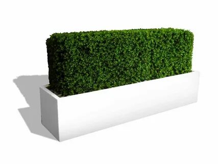 Sticker planter