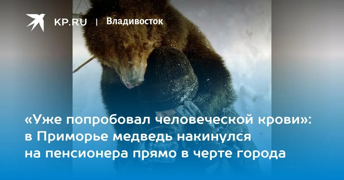 Рассказы про медведей шатунов