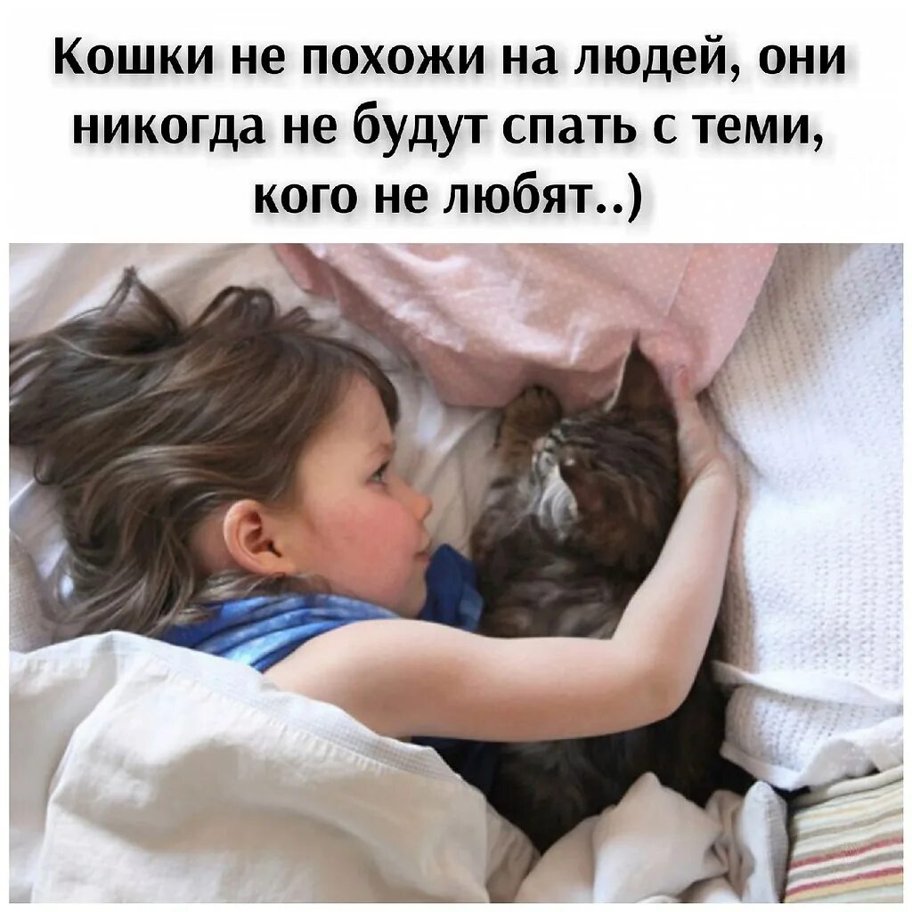 Коты и дети. Как сделать сон на заказ. Девушка с котом в постели. Девушка на кровати с кошкой. Кошка на руках.
