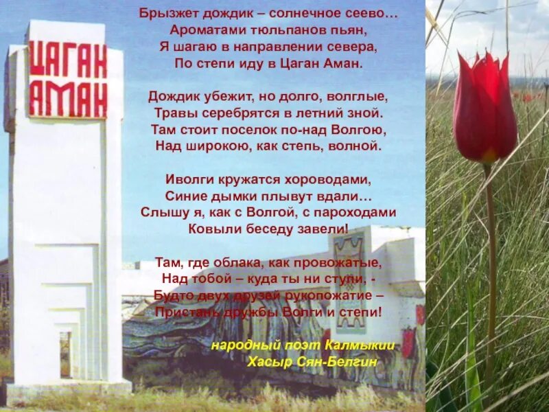 Стихотворение на калмыцком языке. Старокалмыцкая письменность. Стихи на калмыцком языке. День калмыцкого чая. Стихотворение про калмыкию.