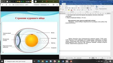 Орыс тілінде Monster High секс көріністерін көріңіз