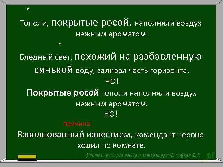 Тополи покрытые росой