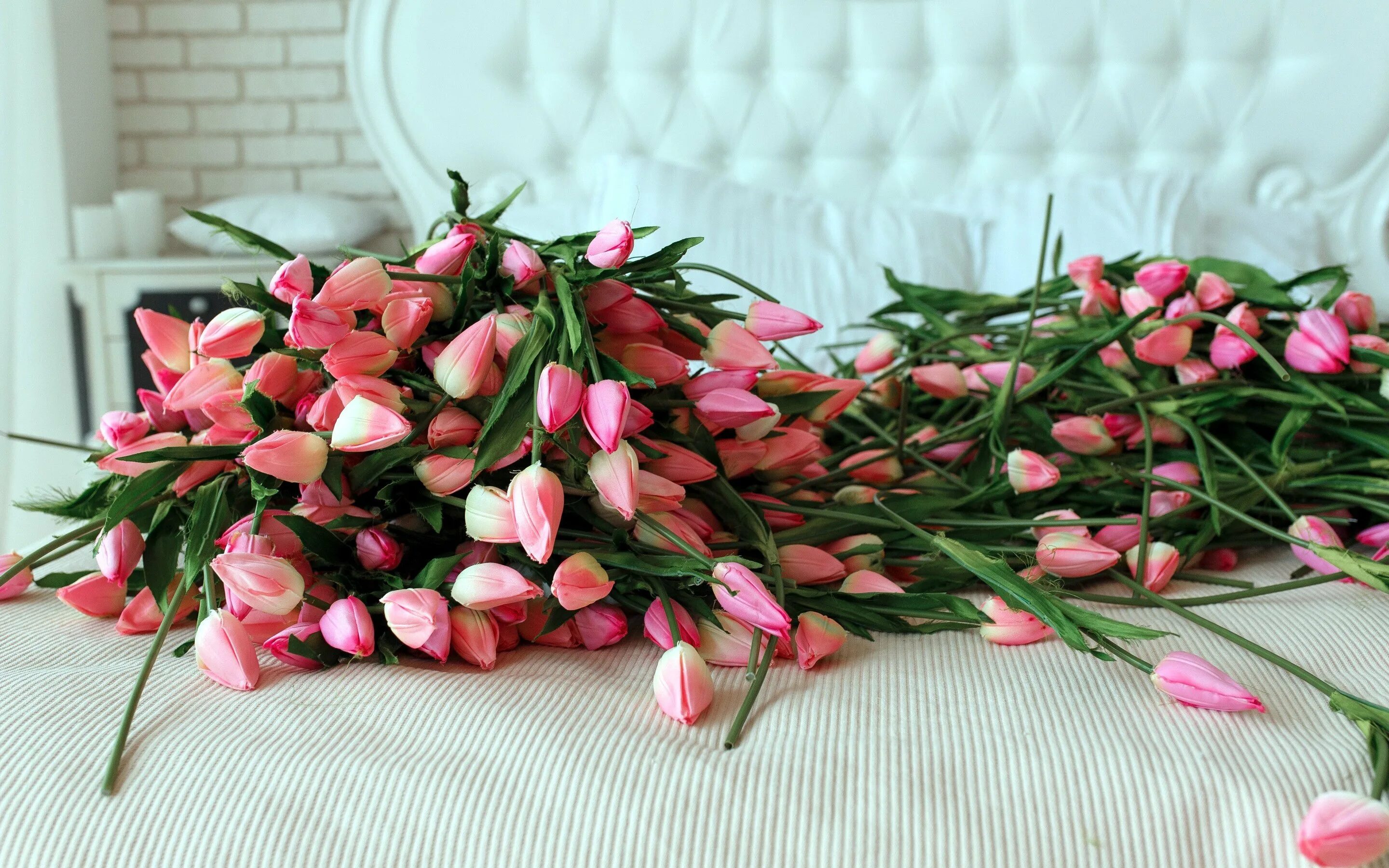 Можно ли ставить тюльпаны с розами. Букет тюльпанов. Розовые тюльпаны. Огромный букет тюльпанов. Красивые букеты из тюльпанов.