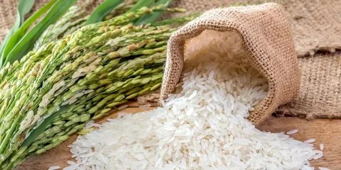 Rice 20