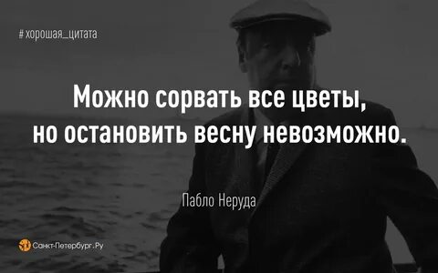 Высказывания 2018 года