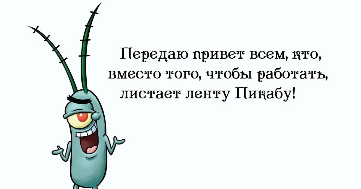 Передай привет через станцию. Офисный планктон. Передать привет смешной. Пользуясь случаем хочу передать привет. Передаю привет прикол.