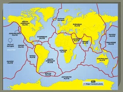 Тихоокеанская литосферная плита