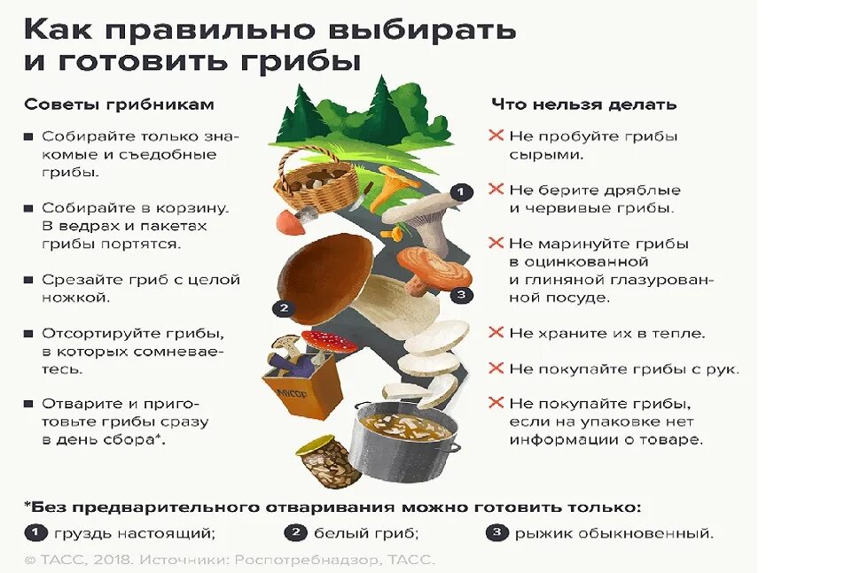Памятка как собирать грибы. Памятка по грибам. советы грибникам. памятка как правильно собирать грибы.
