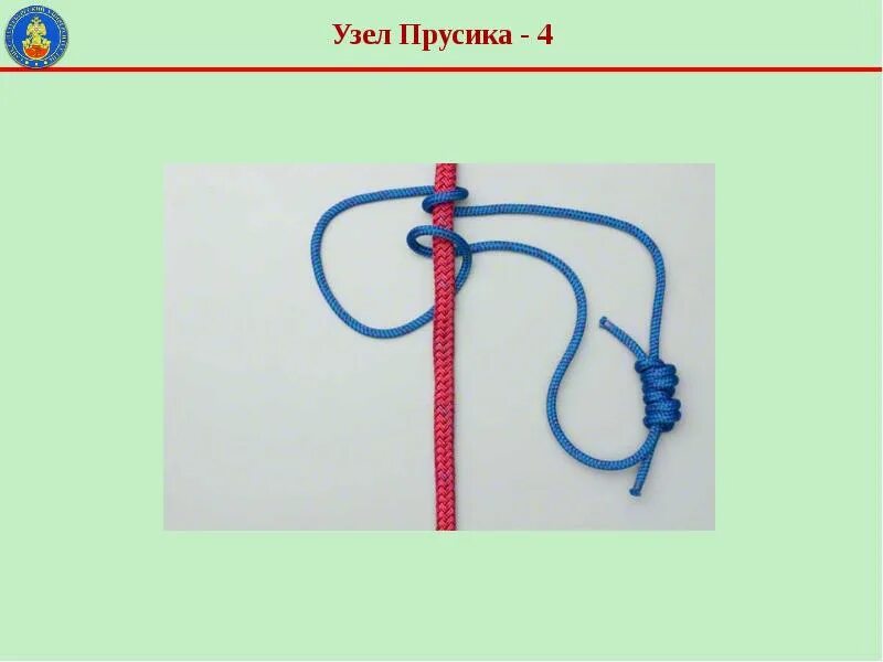 Спасательные узлы пожарных. Узел прусика. схватывающий узел прусика. узел прусика схема. спасательные узлы.