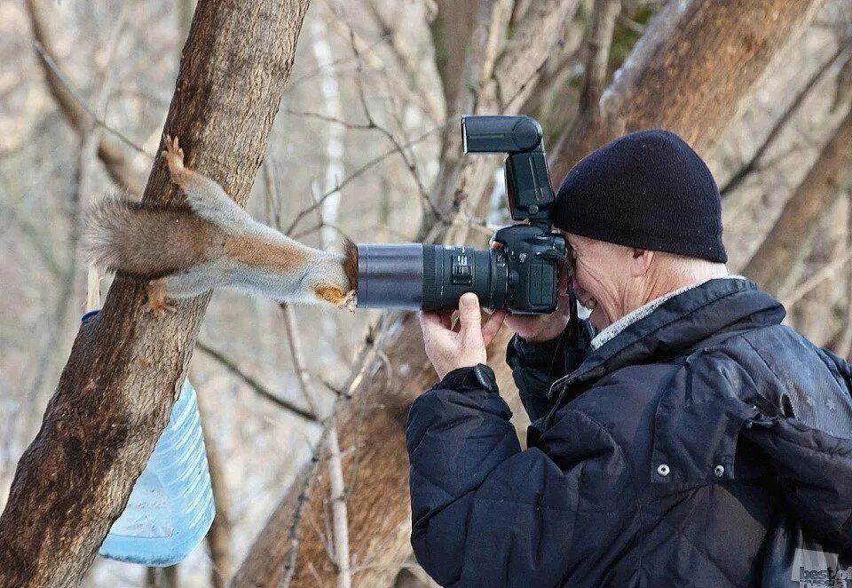 Вызывает любопытство. Человек с фоторужьем. Белка фотограф. Белка с фотоаппаратом. Фотограф и животные.