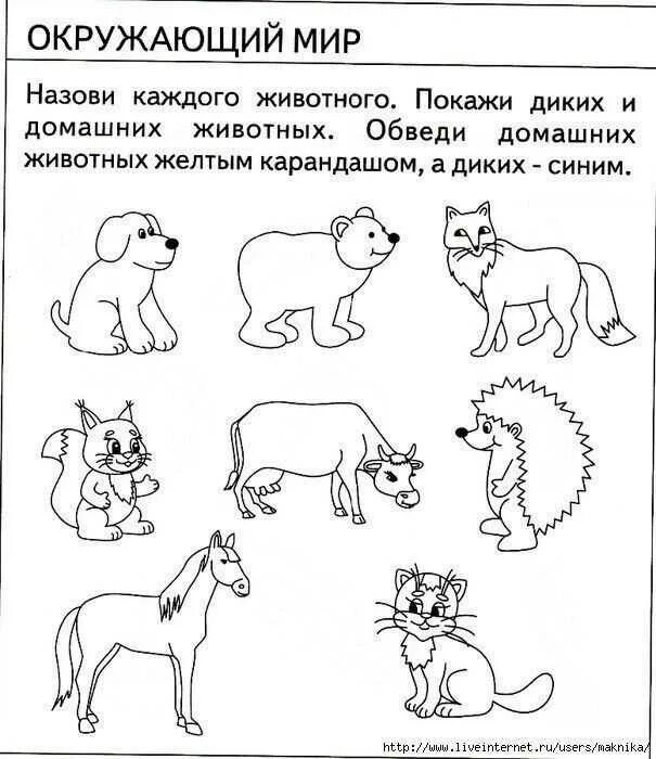 Задания для дошкольников окружающий мир распечатать. Задания по окруж миру для дошкольников. Задание по окружающему миру для дошкольников домашние животные. Животные задания для дошкольников. Домашние животные задания для детей.