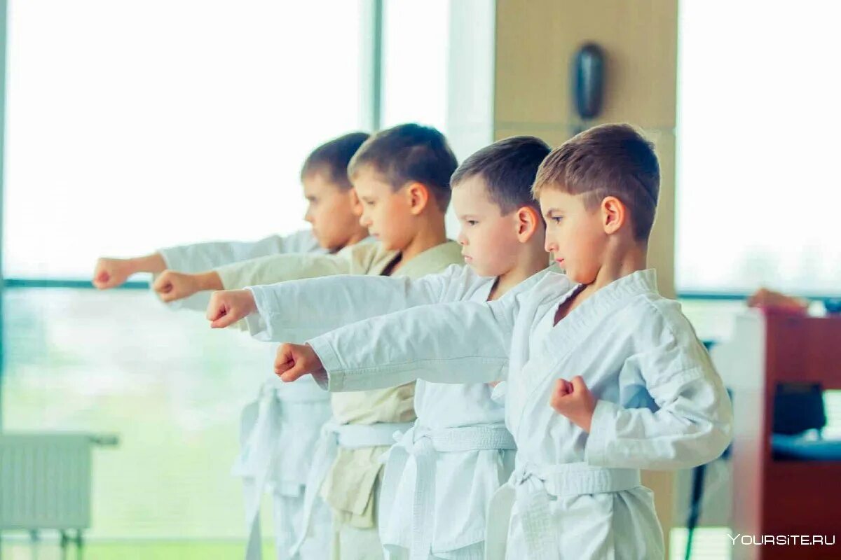 каратэ шотокан каратисты. каратэ дети. кекусинкай дети. каратэ для дошкольников. спортивные единоборства дети.