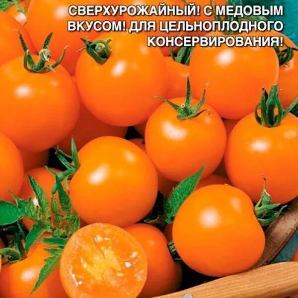 Томат златовласка отзывы. Черри Златовласка. Томат Златовласка. Сорт черри Златовласка. Томат Златовласка характеристика.