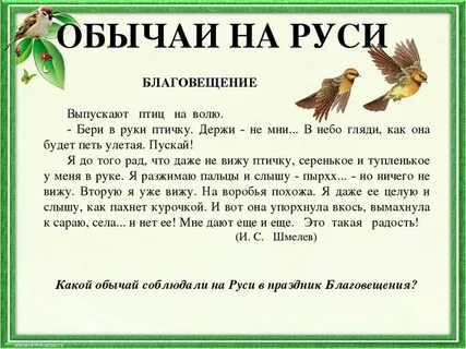 Обычаи птиц
