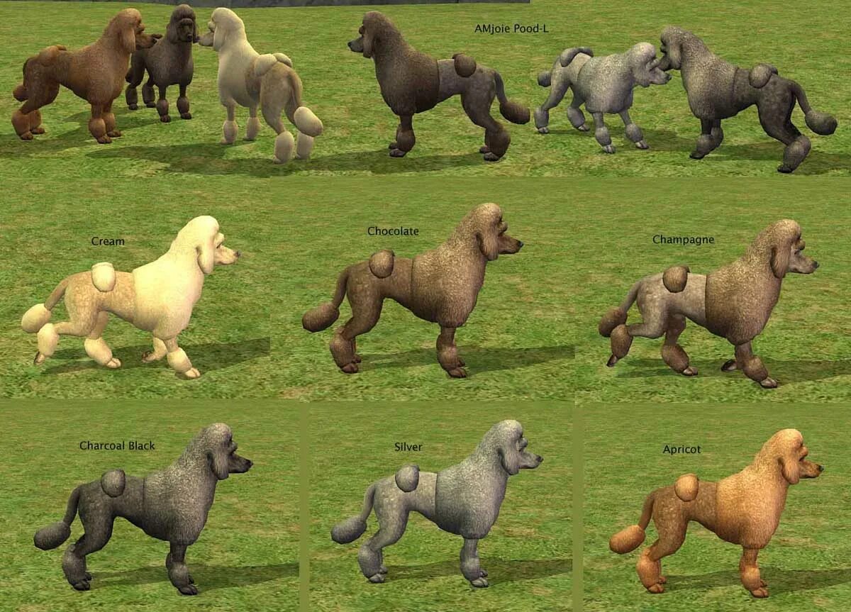 солнечная порода игра. собаки из разных игр. Petz dogz. вилдлайф парк долина лошадей 2. игра породы собак.